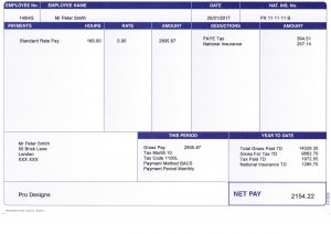 Payslip Blue Sample - UK Pay Stub