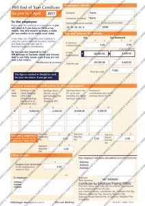 P60 Design 2 Tax Return Sample - UK